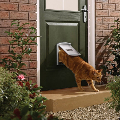 2 way hotsell cat flap