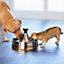 PetSafe - Drinkwell 360 Stainless Steel Dog Water Fountain