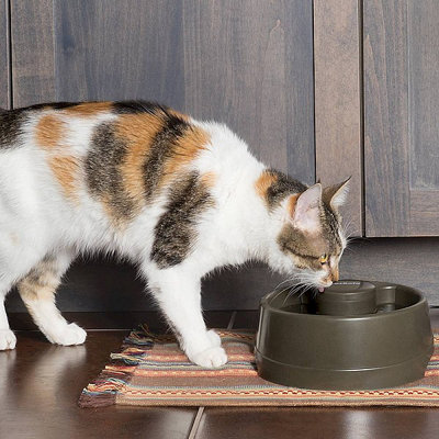 PetSafe - Drinkwell Current Pet Fountain - Small 1.2L