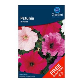 Petunia F2 Mixed (Petunia multiflora)