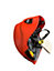 Petzl Strato Red Helmet Safety Hat Lightweight 20.9-24.8"
