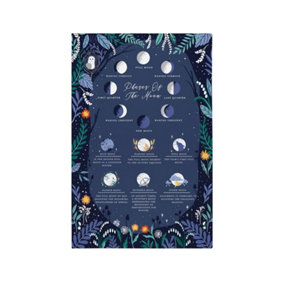 Phases of the Moon Graphic Print 100% Cotton Tea Towel