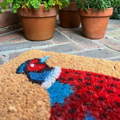 Pheasant Indoor & Outdoor Coir Doormat - 3