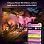 Philips Hue Amarant White & Colour Ambiance LED Smart Outdoor Spotlight Extension