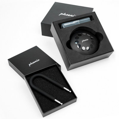 Phoenix Palm KS0210ES Smart Key Safe with FREE DElivery - 7