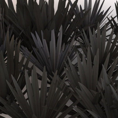 Phormium Platts Black Garden Plant - Striking Dark Foliage, Compact Size, Hardy (15-30cm Height Including Pot)