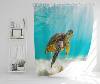 photo of Sea turtle in the Galapagos island (Shower Curtain) / Default Title Price Comparisons | Compare The Build