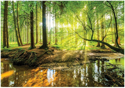 Photo Wallpaper Forest 3D Trees Green Non-Woven Wall Mural Modern 400x280 cm