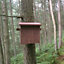 Pine Marten Den Box - Plywood - L27 x W56 x H57 cm