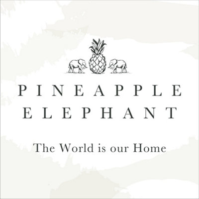 Pineapple Elephant Living Ziri Geo 55x55cm Cushion Teal