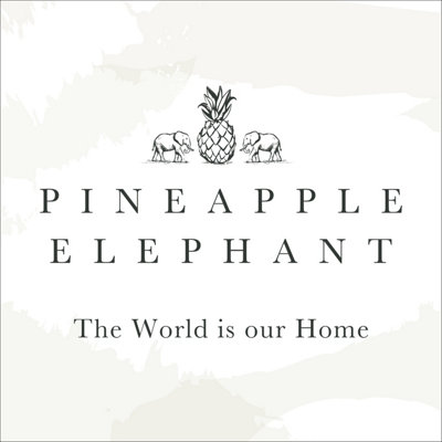 Pineapple Elephant Muscat Waffle Double Duvet Cover Set with Pillowcases Natural