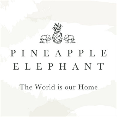 Pineapple Elephant Textured Frayed Edge Cotton Placemat Pair Black