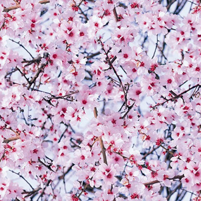 Pink Cherry Blossom Self-Adhesive Vinyl Decor DIY Arts Craft Furniture Wall