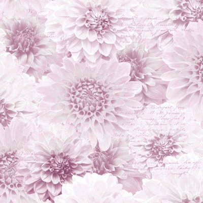 PINK CHRYSANTH NATURAL FLOWER FLORAL SCRIPT MURIVA FEATURE WALLPAPER 128504