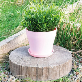 Pink Plastic Plant Pot - Weatherproof Colourful Home or Garden Planter with Drainage Holes & Saucer - H10.5 x 9cm Diameter