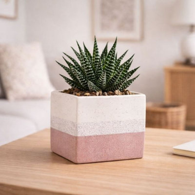 Pink Speckled Tri-Tone Stoneware Cube Plant Pot (H12.5 x W12.5cm)