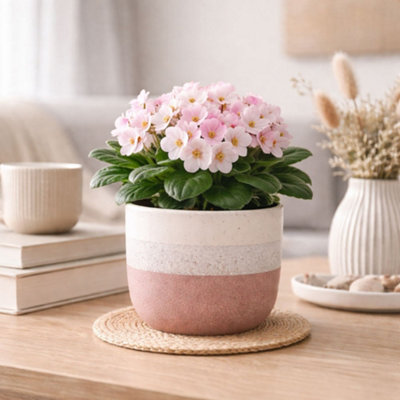 Pink Speckled Tri-Tone Stoneware Indoor Plant Pot (H13 x Dia 14cm)