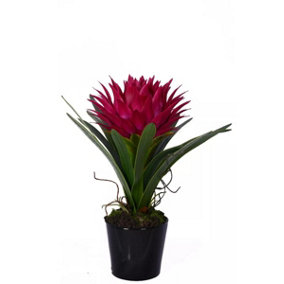 Pink Tropical Plant with Black Ceramic Pot Artificial Plant Foliage