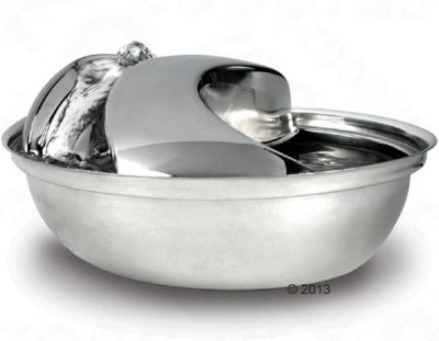 Pioneer pet hot sale stainless steel fountain