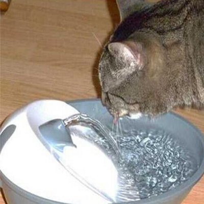 Pioneer Pet Cat Water Fountain Dispenser Drinking Bowl Filter Serenity Grey