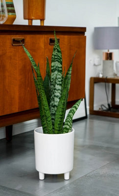 Pisa White Planter H24Cm D20Cm