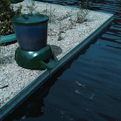 Pond best sale fish feeder