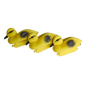 Pisces Floating Ducklings - Baby Ducks Set Of 3