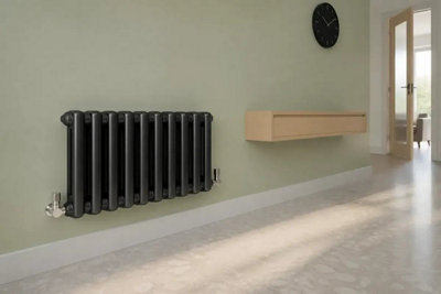 Planet Radiators Two Column 300 x 425 mm Cast Iron Style Radiator Black