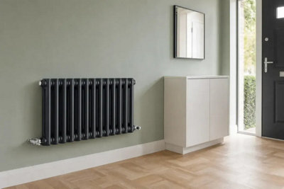 Planet Radiators Two Column 450 x 605mm Cast Iron Style Radiator Black