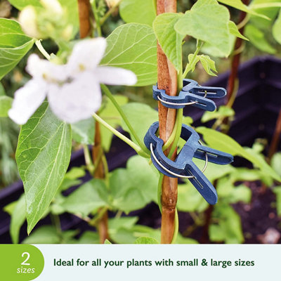 Plant Clips For Climbing Plants,Garden Clips For Netting