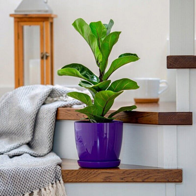 Plant Flower Pot Plastic 20 Colours 9 sizes Gloss Pots Planter Saucer Tray Deco Purple 18cm - 5