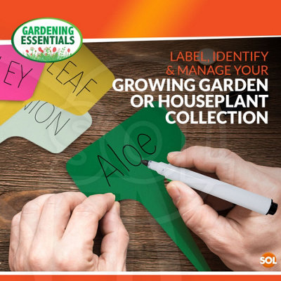 Plant Labels mixed colours T Type(100X)