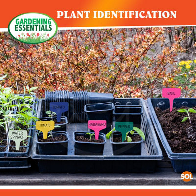Plant Labels mixed colours T Type(100X)