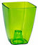 Plant Orchid Pot Plastic  Gloss Oval Planter 12 cm Green transparent Square