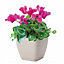 Plant Pot Flowerpot Square Plastic Modern Decorative Small Medium Large  Cream 13cm
