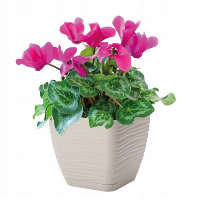 Plant Pot Flowerpot Square Plastic Modern Decorative Small Medium Large  Cream 19cm