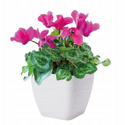 Plant Pot Flowerpot Square Plastic Modern Decorative Small Medium Large  White 19cm - 5