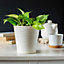 Plant Pot Flowerpot Wave Plastic Crystal Modern Decorative Cream 30cm