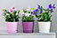 Plant Pots Flower Planter 6 Colours 8 sizes Matt Plastic Pot + Saucer Tray Deco White 12cm