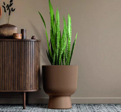 holders for hanging plants 