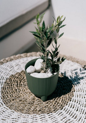Plant Pots Indoor Outdoor Plastic Flowerpot  RYFO Earth Green 11cm - 4