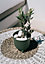 Plant Pots Indoor Outdoor Plastic Flowerpot  RYFO Earth Green 13cm