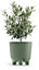 Plant Pots Indoor Outdoor Plastic Flowerpot  RYFO Earth Green 15cm