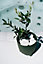 Plant Pots Indoor Outdoor Plastic Flowerpot  RYFO Grey 15cm