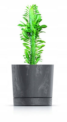 Plant Pots Indoor Outdoor Plastic Flowerpot Small Medium Large Tubo 5 Colours Anthracite 11cm