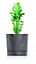Plant Pots Indoor Outdoor Plastic Flowerpot Small Medium Large Tubo 5 Colours Anthracite 24cm