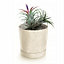 Plant Pots Indoor Outdoor Plastic Flowerpot Small Medium Large Tubo 5 Colours Cream 40cm