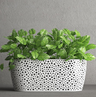 Plant Pots Plastic Trough Vero Box Decorative Grey