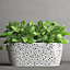Plant Pots Plastic Trough Vero Box Decorative White