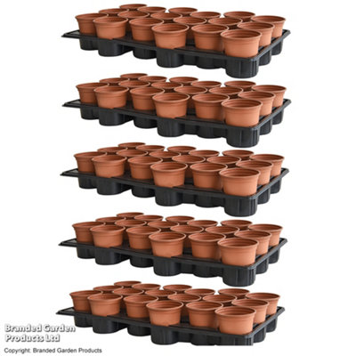 Plant Shuttle Tray x5 and Pots x90 set by Thompson and Morgan (90)